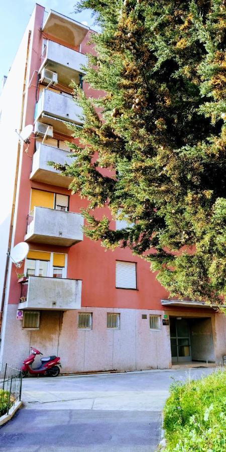 Center Park And Apartment *