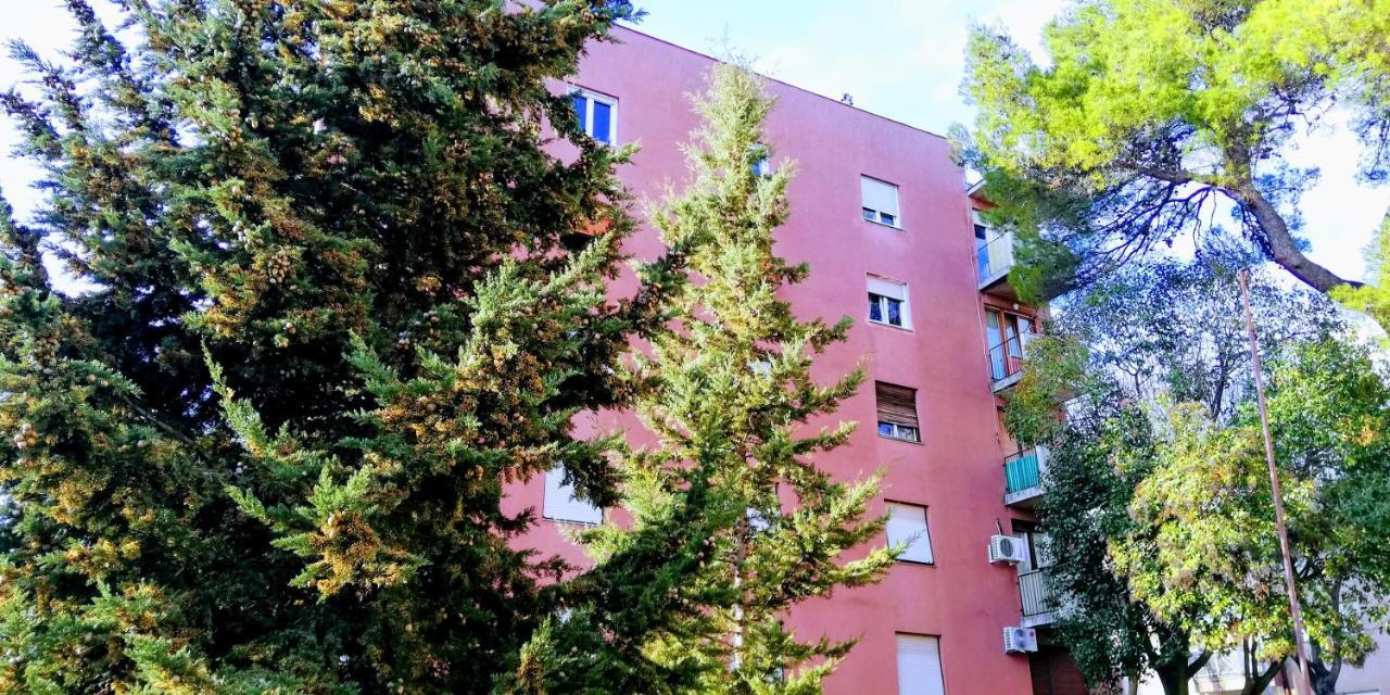 Center Park And Apartment Pula