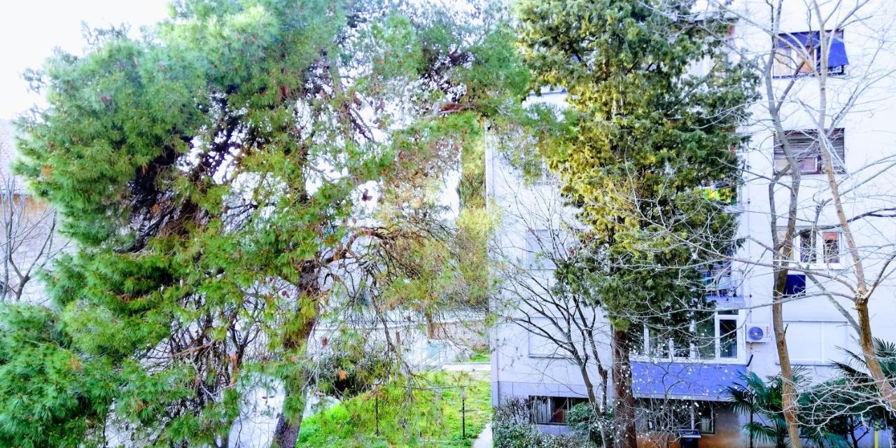 Center Park And Apartment