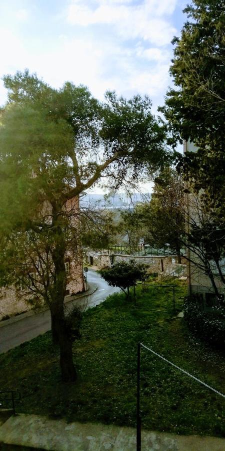 Apartment Center Park And *